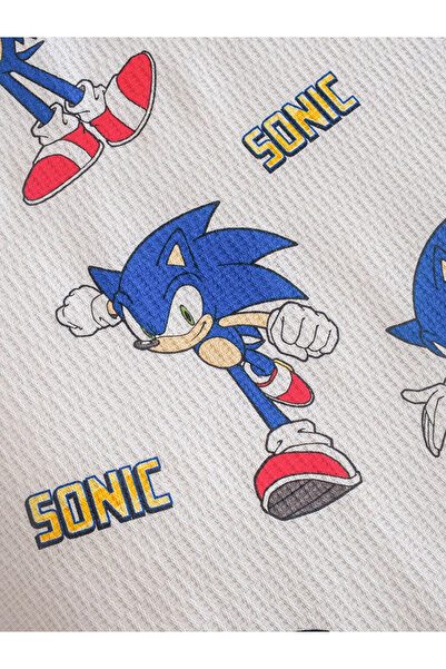 LC Waikiki Mixed Sonic Printed Single Child Pique Set