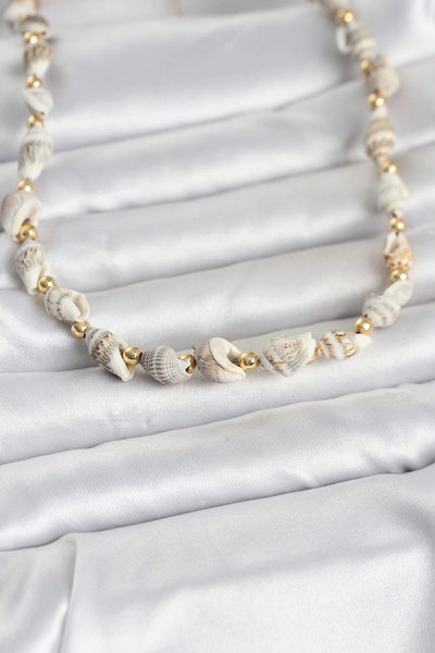 shopwave Natural Sea Shell Array Women's Necklace