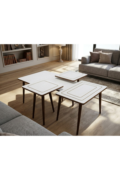 BAŞ ART SEHPA MDF 3'lü Orta ve Zigon Sehpa Takımı Set Modern Salon Sehpa Beya...