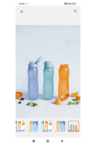 Tupperware Online Pazar Yeri Water Bottle Set 750 ml