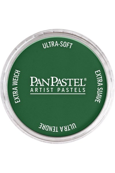 Generic Brand Ultra Soft Artist Pastel Crayon 640.1 Permanent Green Extra Dark