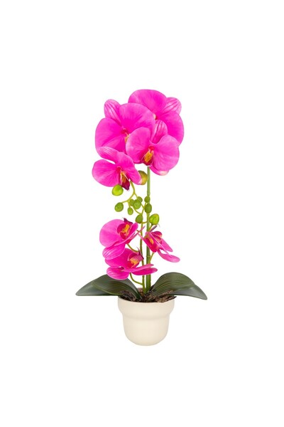 Naimeed Company -looking orchid in a ceramic pot, 49 cm, Naimeed D6897, Fuchsia