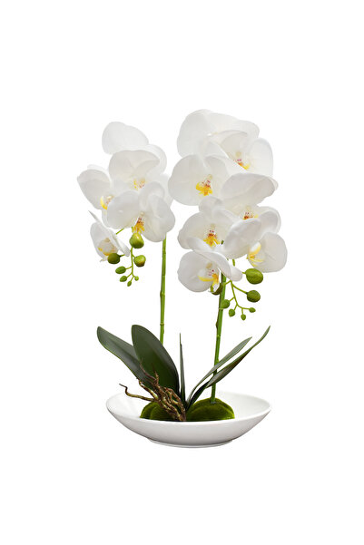 Naimeed Company Orhidee decorativă în ghiveci ceramic, 49 cm, Naimeed D4852, Alb