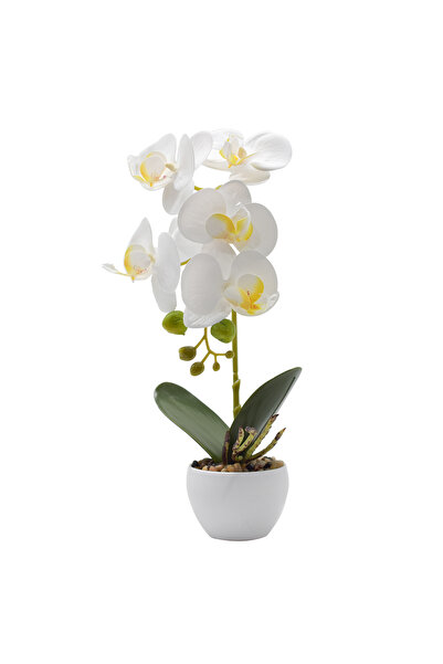 Naimeed Company Orhidee decorativă în ghiveci ceramic, 33 cm, Naimeed D4851, Alb