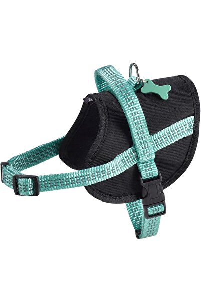 Bobby Easy Safe Harness Lagoon Color Medium