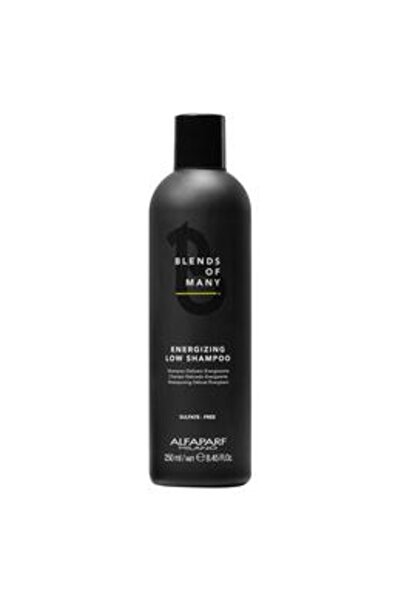 Alfaparf Milano Sampon Energizant Anti-Cadere - Blends of Many Energizing Low...