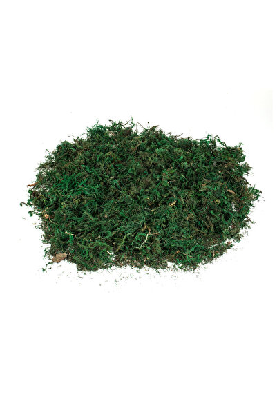 Zumzeria Green Decorative Grass for Christmas Manger 100g