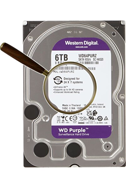 WESTERN DIGITAL WD Purple 6TB 3.5" SATA III Server Drive (6 Gb/s) (WD64PURZ)