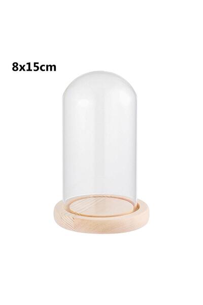 choice2 8x15cm Glass Cloche Jar Display Stand Cover Terrarium Bottle with Woo...