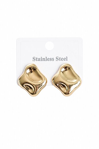 serelya 316L Steel Gold Color Plate Model Women's Earrings