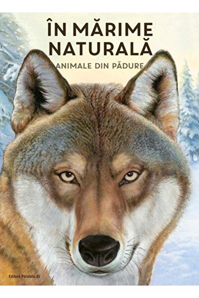 Editura Paralela 45 In marime naturala. Animale din padure, Holger Haa