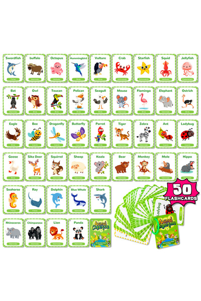 Choice GRAY 50PCS Animal Cognition Flash Cards Children's Early Education Wor...