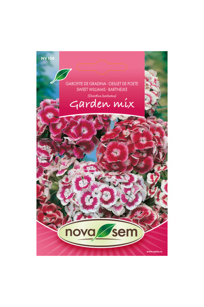 Novasem Seminte de flori garofita de gradina inalta amestec Novasem, 1 g