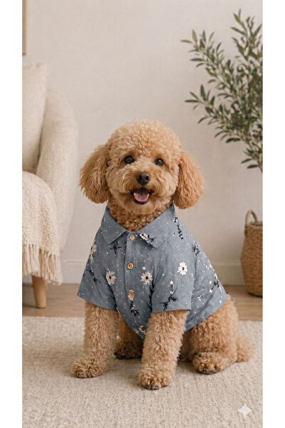 PetiliDünya Flower Shirt New Cat Dog Shirt Outfit