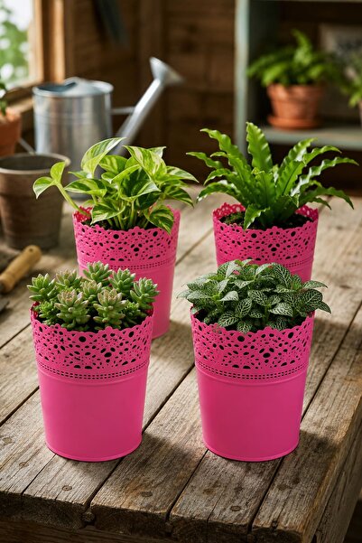 Alezy DAS2 Dantel No:2 - 2.3 Litre Plastik 4'lü Saksı