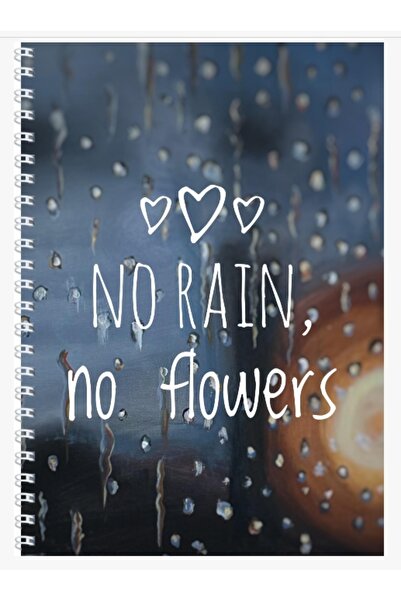 OEM Agenda No Rain No Flowers artist Gabriela Vrinceanu Art