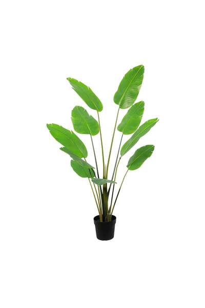 Highpoint High Point Plant-Themed Tree That Captivates and Enhances Home Deco...