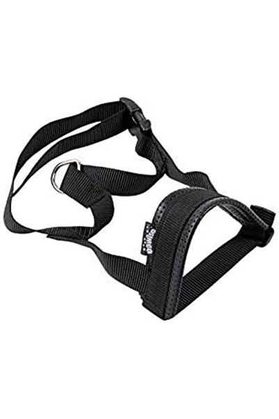 Yıldızan Nzr Beautestore Pawise Dog Padded Muzzle, Size 2 Without Mouthpiece ...