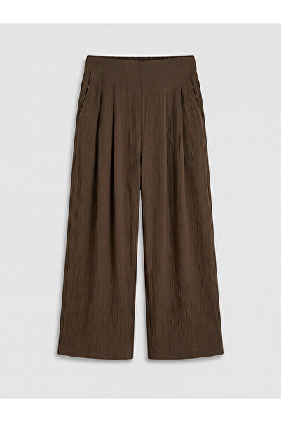 LC Waikiki Nevavm Women's Pleated Trousers with Elastic Waist