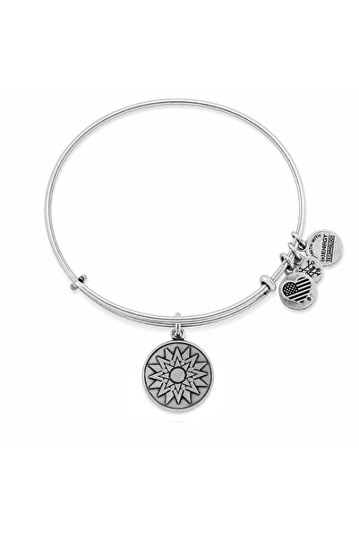 Alex and Ani Bratara Metal CBD14NBRS