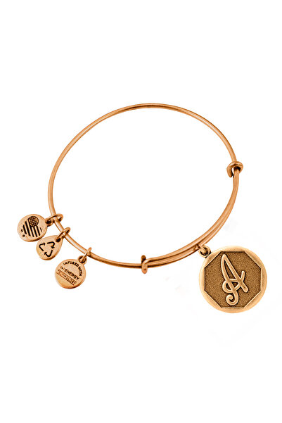 Alex and Ani Bratara Metal A13EB14AG