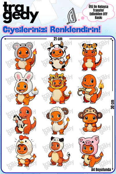TRAGEDY Charmander Iron-On Transfer for Fabric in A4 Size - 1 Design Dtf Prin...