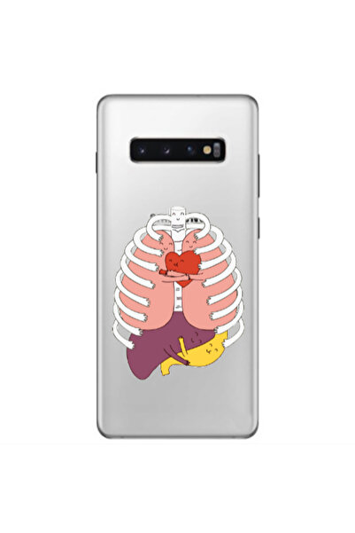 Other Samsung S10 Plus Anatomy Transparent Silicone TPU Θήκη