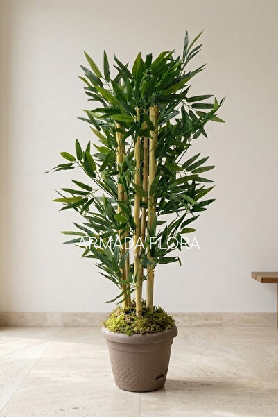 Armada Flora Yapay Bambu Ağacı 5 Gövdeli Saksılı