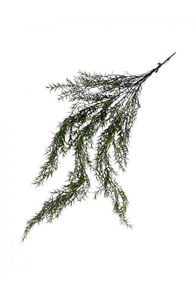 OEM Flori Artificiale Buchet Asparagus Curgator