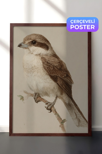 Zestia Vintage zidna slika, portret malog vrabca sa smeđim okvirom br: 20182