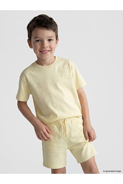 LC Waikiki Dinosaur Printed Boys' T-Shirt and Shorts Set