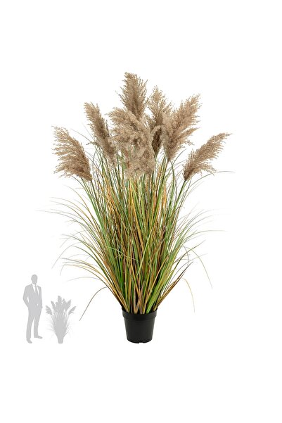 Roberto Rossi Iarba artificiala Onion 120 cm cu 9 flori naturale de pampas bej
