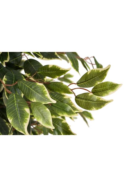 Roberto Rossi Copac artificial H90cm Ficus benjamina varigat cu 336 frunze verzi