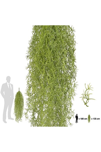 Roberto Rossi Planta curgatoare Long hair (tillandsia) 135 cm verde