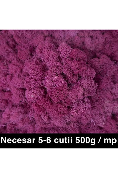 Roberto Rossi Licheni curatati si fara radacina conservati 500g NET, calitate...