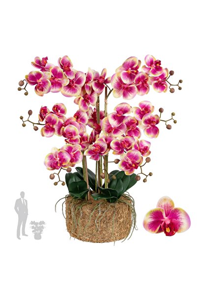 Roberto Rossi Orhidee artificiala roz cu galben cu aspect H66 cm cu 9 tulpini