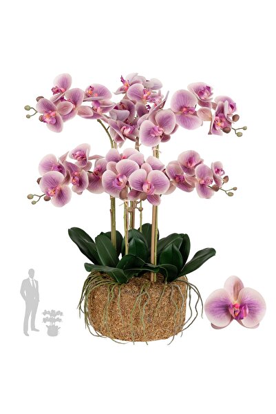 Roberto Rossi Orhidee artificiala roz cu aspect H66 cm cu 7 tulpini