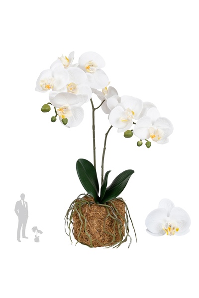 Roberto Rossi Orhidee artificiala alba cu aspect H53 cm cu 2 tulpini