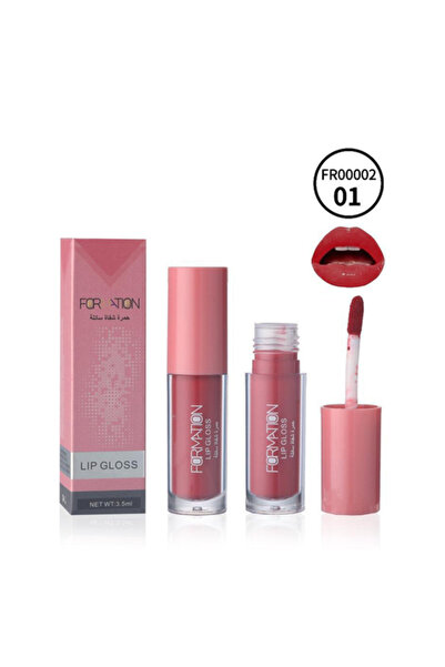 FORMATION Liquid Lipstick – Color No. 01 | 5 ml