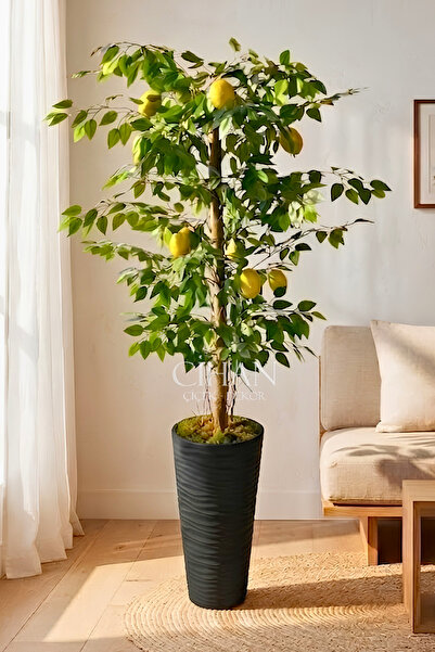 Cihan Çiçekçilik Premium Yapay Limon Ağacı 170 cm - 8 Limonlu 56X30X20 Kumsal...