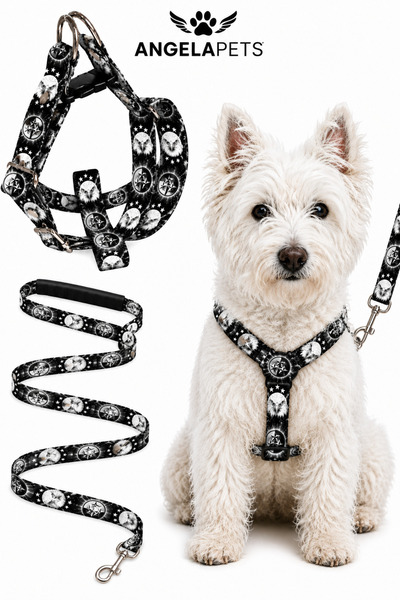 Angelapets Dog Chest Harness and Walking Strap Set