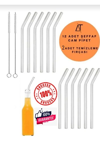 Parmend Life Set of 12 Glass Straws and 2 Cleaning Brushes 1stQuality / 9 Mm