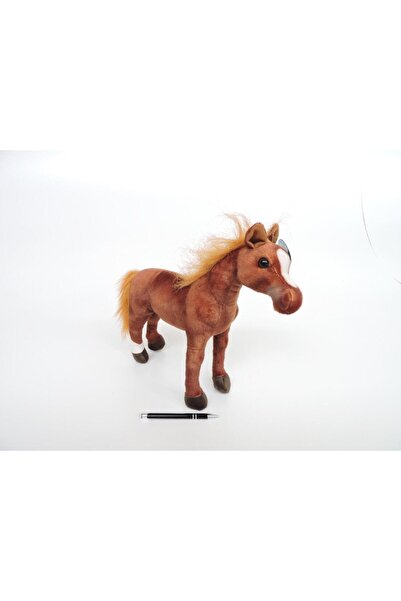 Dubi Cal englez de pură sângerie, 35 cm