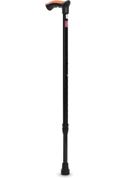 Flamingo Walking Stick - Universal