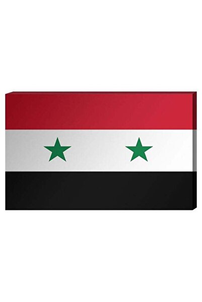 Atiq Syrian Flag Wall Decor Painting With Inner Frame Multicolour 40 x 60cent...