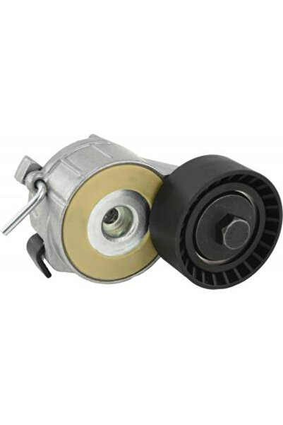 FEBEST Intinzator curea, curea de distribuție 2590-DV6