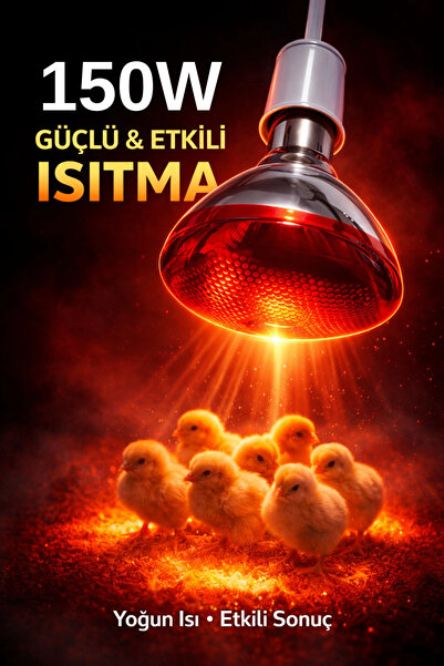 Lisinya 150W Isıtıcı Ampul Kırmızı Isı Lambası Civciv Kümes Kuluçka E27 Duy I...