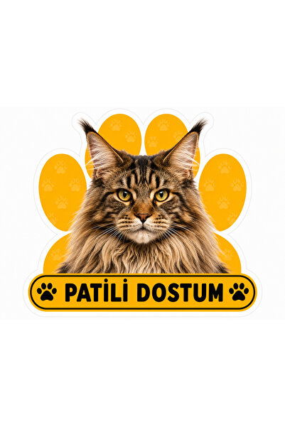 Parti Tasarla Pawed Friend Maine  Cat Sticker |   20X15 cm Self-Adhesive Foil