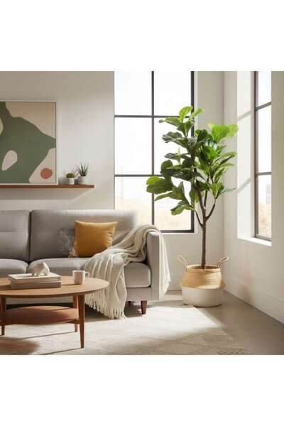 PAN HOME Ficus Bonsai Tree With Pot H125cm -green