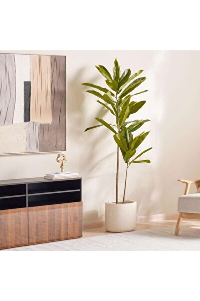 PAN HOME Dilleniad Tree With Pot H180cm - Green